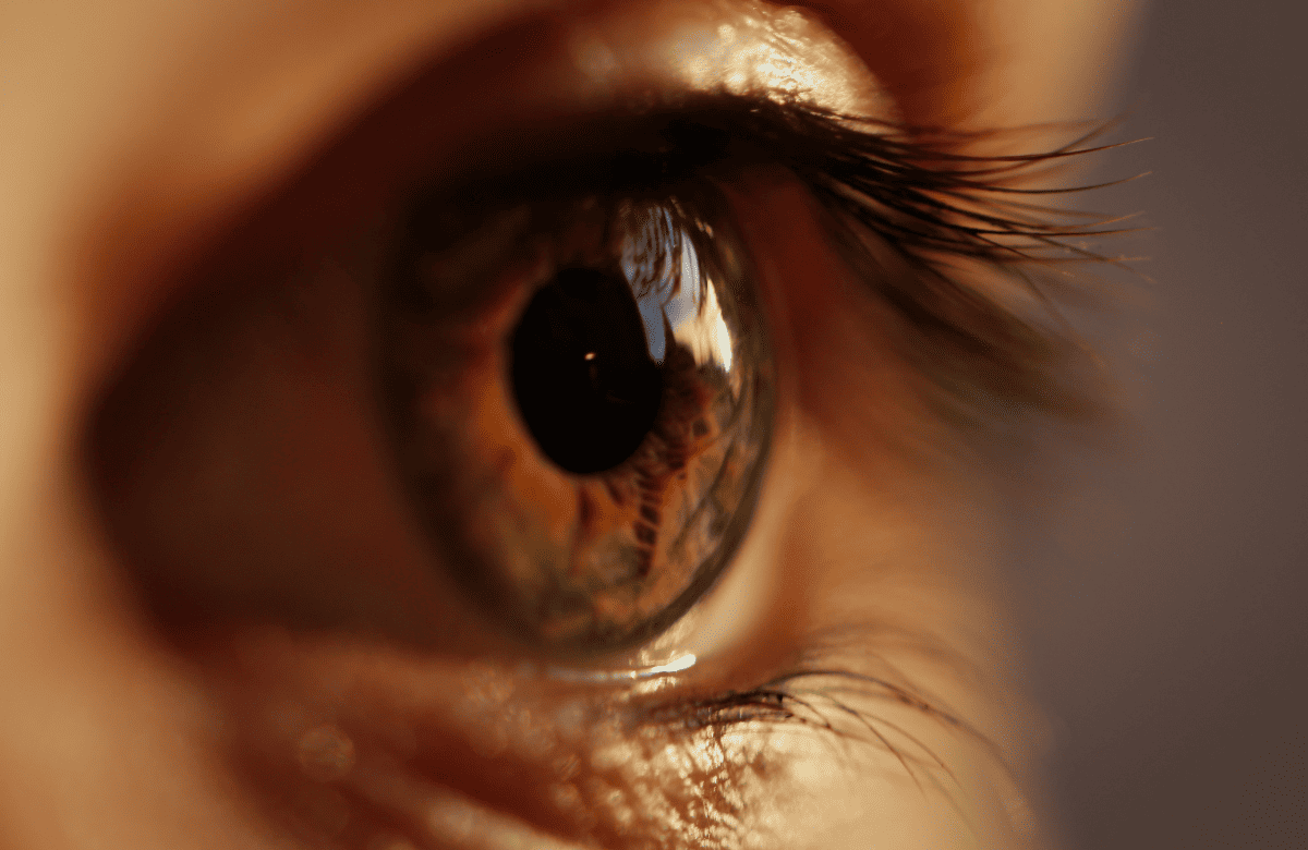  Salud ocular en la menopausia